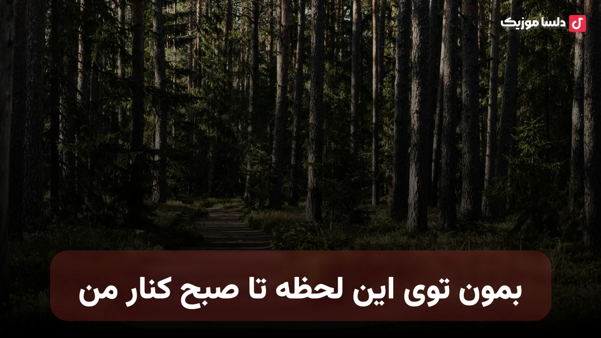 بمون توی این لحظه تا صبح کنار من با صدای زن
